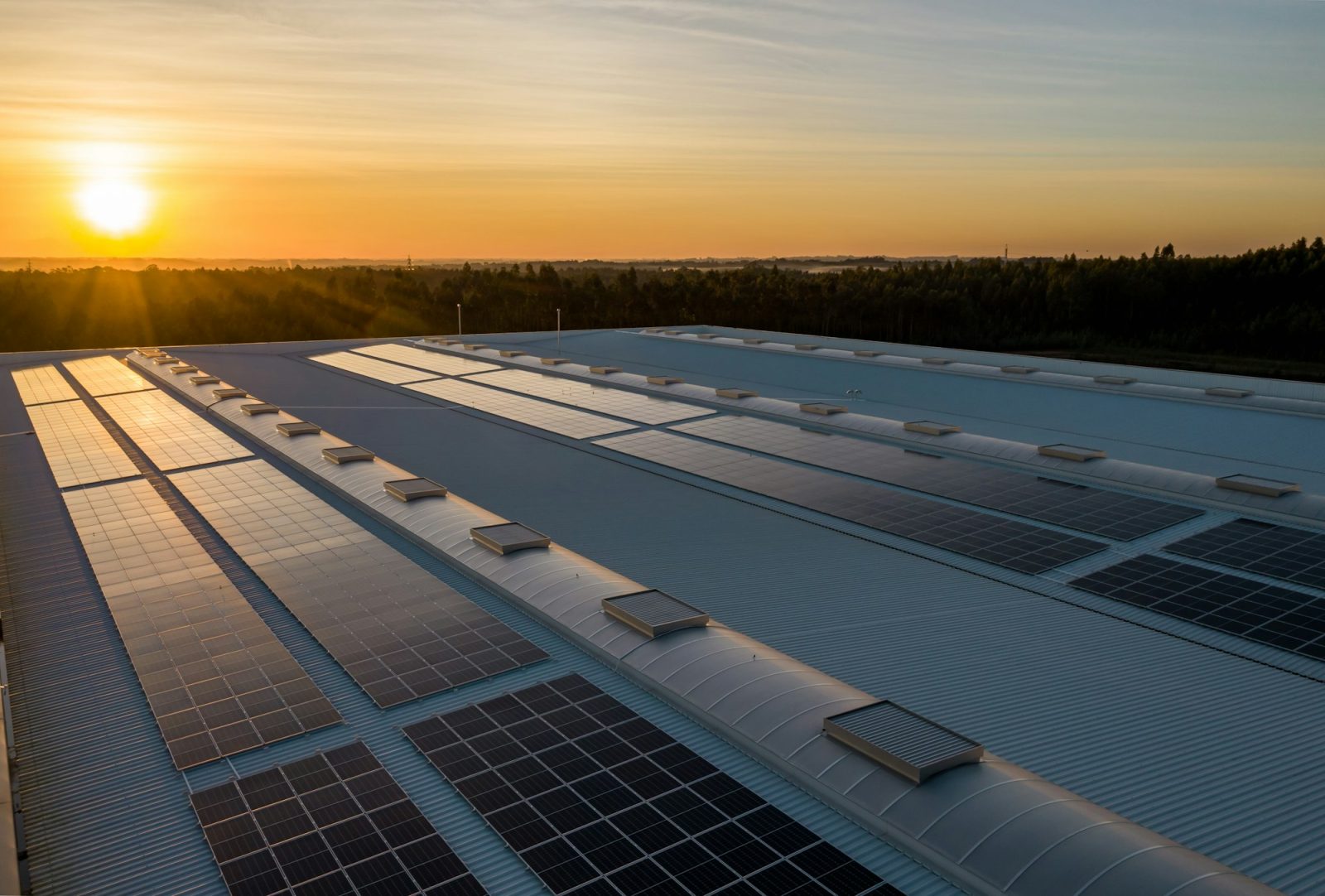 Illustrative photograph of solar panels on a large industrial roof. This is not a Maspro Energy project.