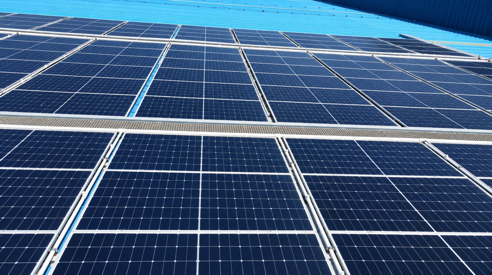 Solar panels covering a wide rooftop in warm evening light, with trees and low buildings along the horizon.