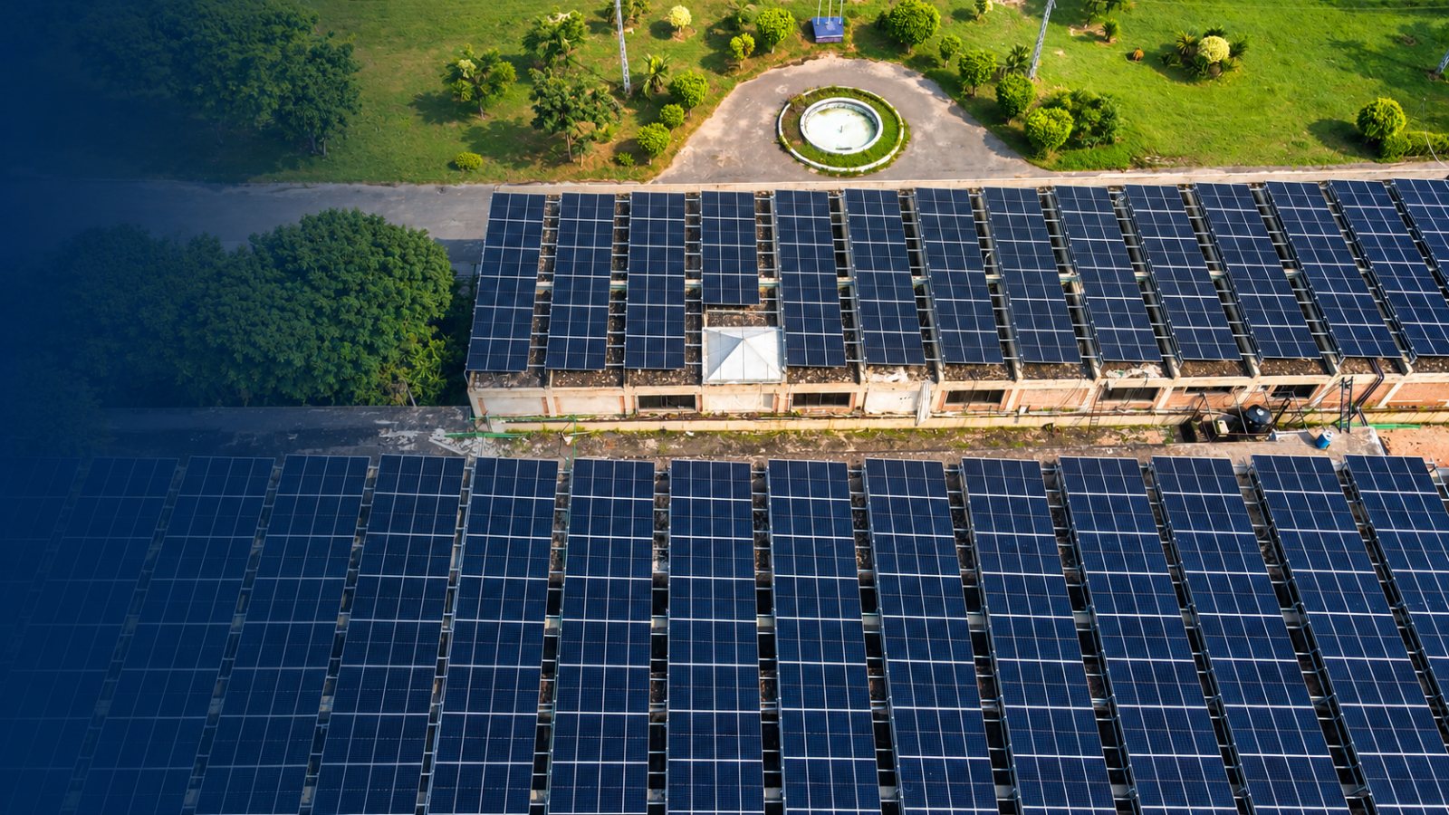 Aerial view of solar panel rows covering long industrial rooftops, with trees and a landscaped road beyond the buildings.